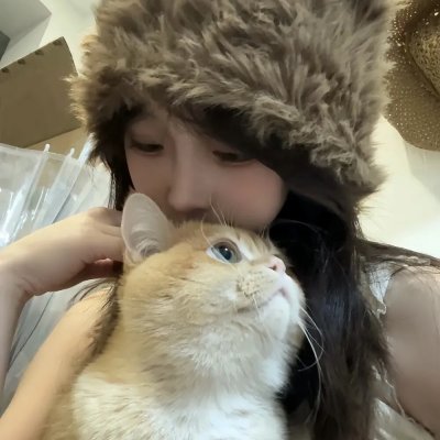蠢蛋进化论